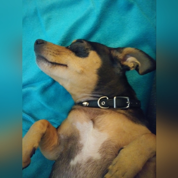 Like to be notified when I go live!! - Picture 15 of 16